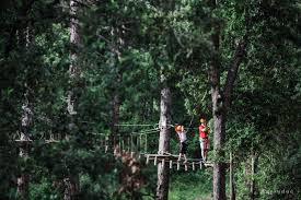 The Adventure Park Pineto